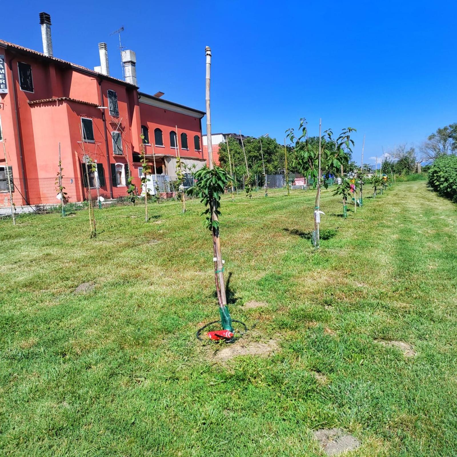 Quadrifoglio Relax Hostal San Donà di Piave Exterior foto