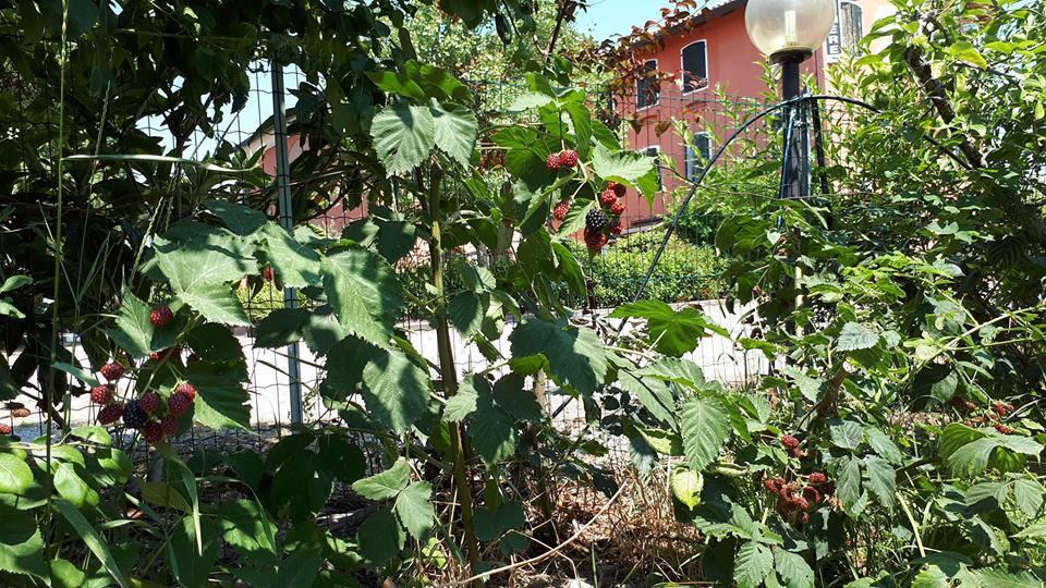 Hostal Quadrifoglio Relax San Donà di Piave Exterior foto